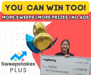 Plus Big Check