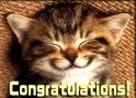 catcongrats.jpg