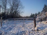 snowday2 009.jpg