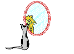 thinkbig.gif