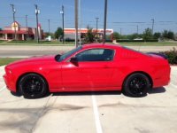 Stang2.JPG