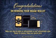 magic wallet.jpg