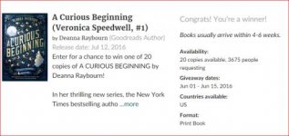 A Curious Beginning.jpg