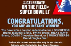 Snickers_Candy_#3.jpg