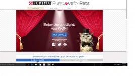 purinawin.jpg