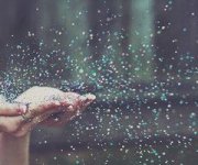 fairy-dust.jpg