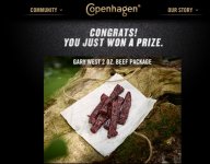 Copenhagen Win 2.jpg