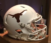 Horns helmet.jpg