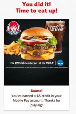 Wendys_5.jpg
