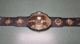 BeltDesign.jpg