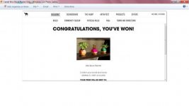 Camel Mini Block Planter Win.jpg