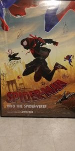 spidermanposter.jpg