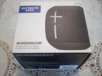 Wonderboom.jpg