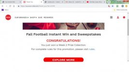 Coke Fall Football Prize Pack Kitty.jpg Coke Fall Football Prize Pack Kitty.jpg