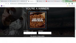 Bush's Baked Beans Win Kitty.jpg