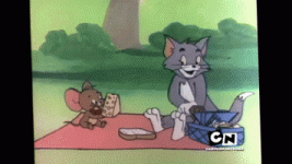 picnic.gif