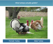 gobb.PNG