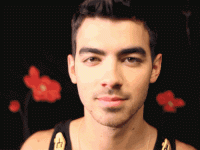BrilliantWickedEgret-size_restricted.gif
