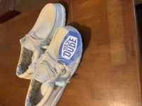 IMG_3539.jpeg