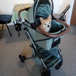 IMG_20260408_114151624_HDR (1).jpg