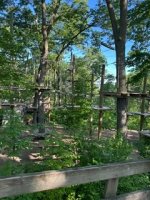 IMG_3239.jpeg