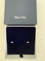 Blue Nile Earrings.jpg