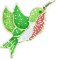 hummingbird3