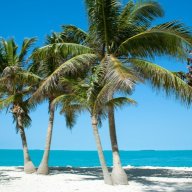 floridagal1
