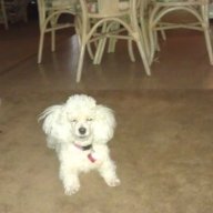 peacelovekindness6519