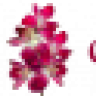 lttlrd171718