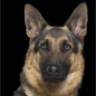 tobby1
