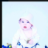 katdigsbuddy