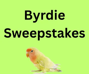 Byrdie Sweepstakes