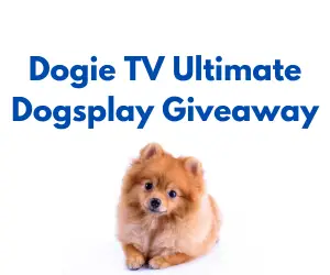 Dogie TV Ultimate Dogsplay Giveaway
