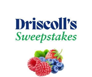 Driscoll's Sweepstakes