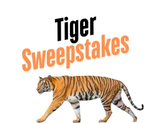 Tiger Sweepstakes