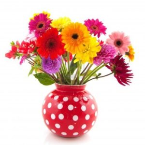 flower sweepstakes
