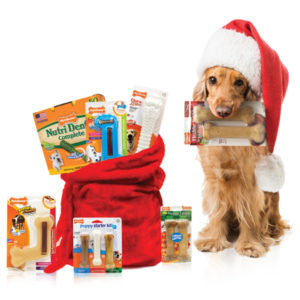 nylabone300