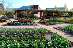 Read more about the article Great Sweepstakes for Those That Love a Lifestyle of Self-Sufficiency