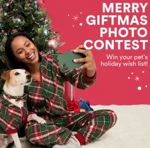 Read more about the article Extraordinary Holiday Sweepstakes! Win BIG Prizes