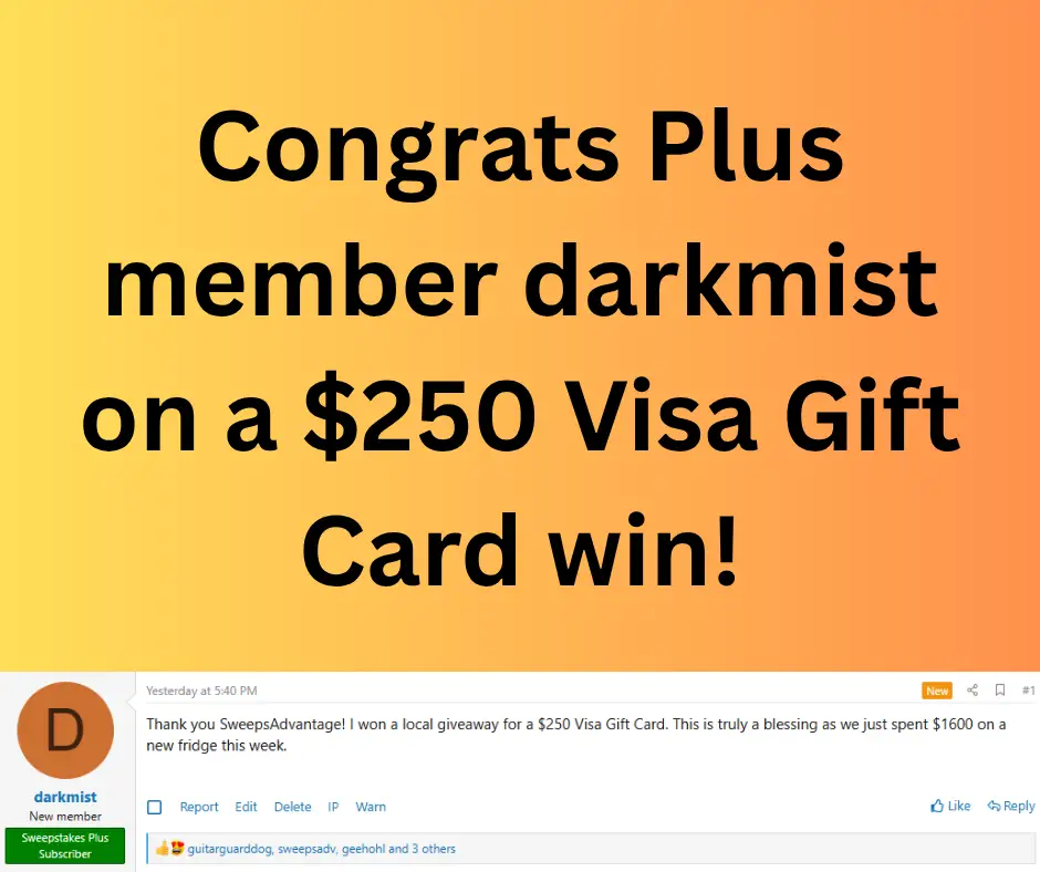 visa sweepstakes winner