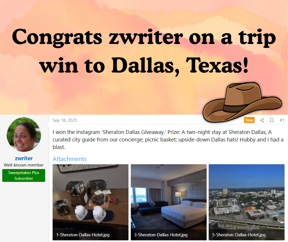 zwriter wins dallas trip