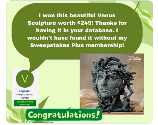 Sweepstakes Plus Winner